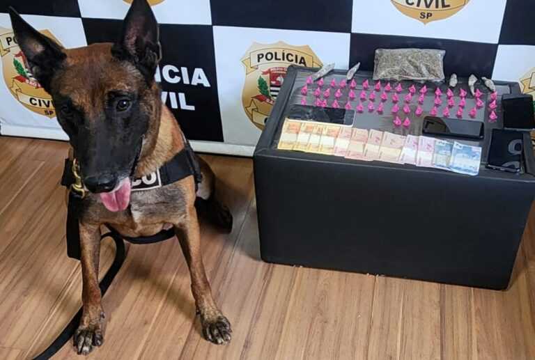 homem-e-preso-por-trafico-de-drogas-durante-operacao-policial-no-jardim-sao-carlos,-em-ourinhos